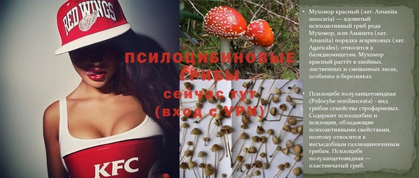 не бодяженный Козельск